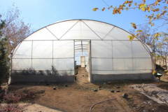 Greenhouse 2